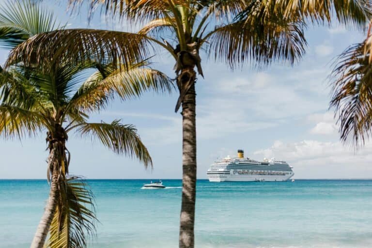 Relaxing tropical beach scene with palm trees, turquoise waters, and a cruise ship in the background.