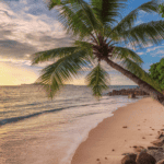 Scenic tropical beach with palm trees and sunset over the ocean.